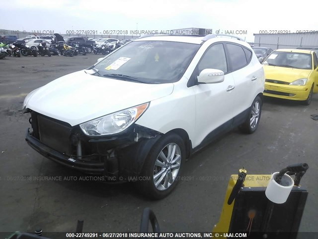 KM8JUCAC4BU171943 - 2011 HYUNDAI TUCSON GLS/LIMITED 白色 照片 2