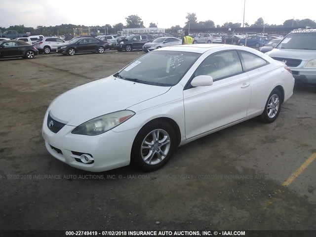 4T1CE30P88U761839 - 2008 TOYOTA CAMRY SOLARA SE/SLE/SPORT WHITE photo 2