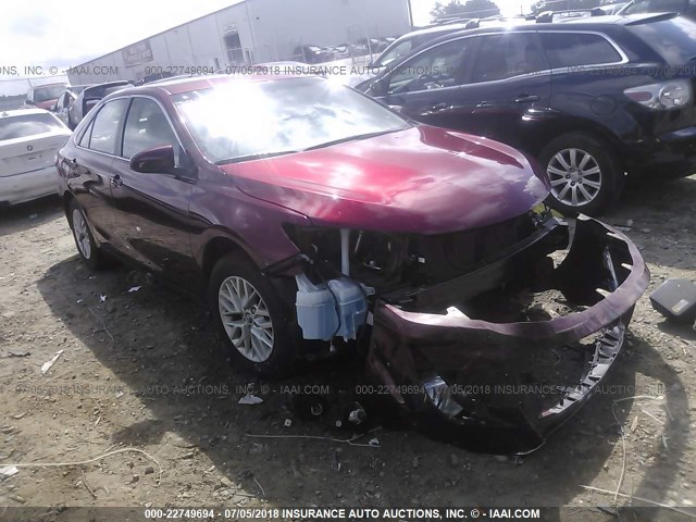 4T1BF1FKXGU503149 - 2016 TOYOTA CAMRY LE/XLE/SE/XSE BURGUNDY photo 1