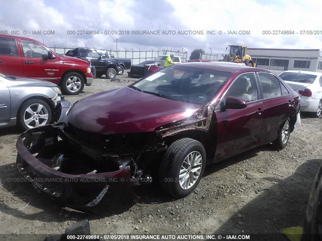4T1BF1FKXGU503149 - 2016 TOYOTA CAMRY LE/XLE/SE/XSE BURGUNDY photo 2