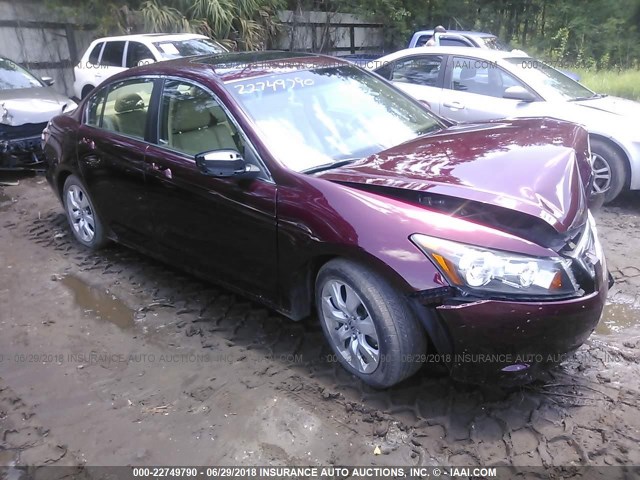 1HGCP2F86AA061951 - 2010 HONDA ACCORD EXL BURGUNDY photo 1