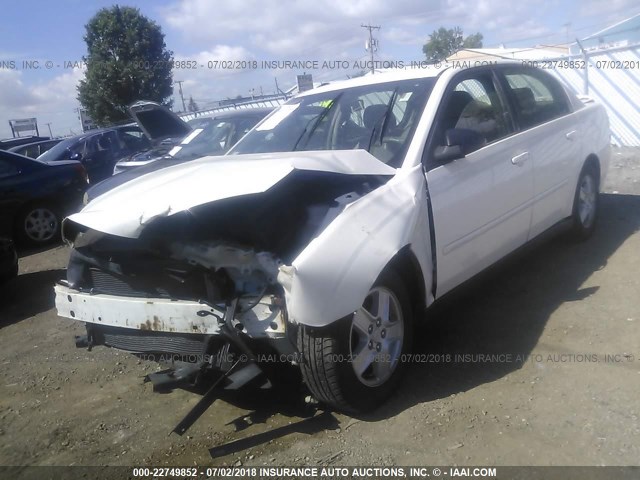 1G1ZT52875F110667 - 2005 CHEVROLET MALIBU LS 白色 照片 2