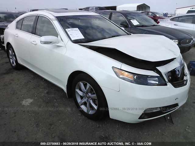 19UUA8F54CA019201 - 2012 ACURA TL WHITE photo 1