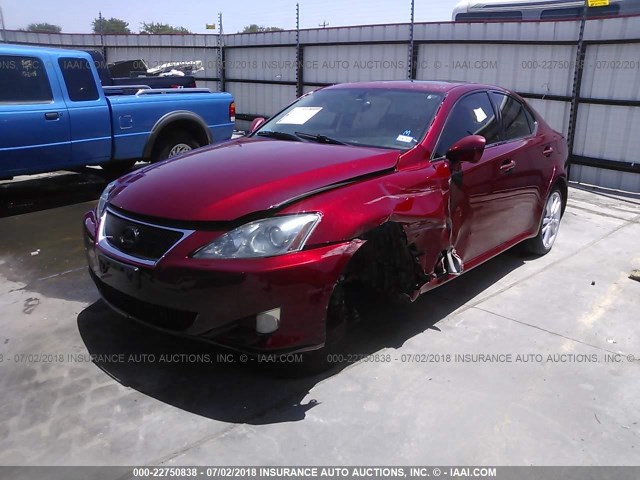 JTHBK262472039405 - 2007 LEXUS IS 250 RED photo 2