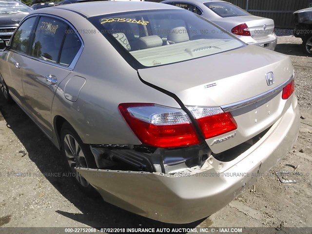 1HGCR2F36EA154019 - 2014 HONDA ACCORD LX TAN photo 6