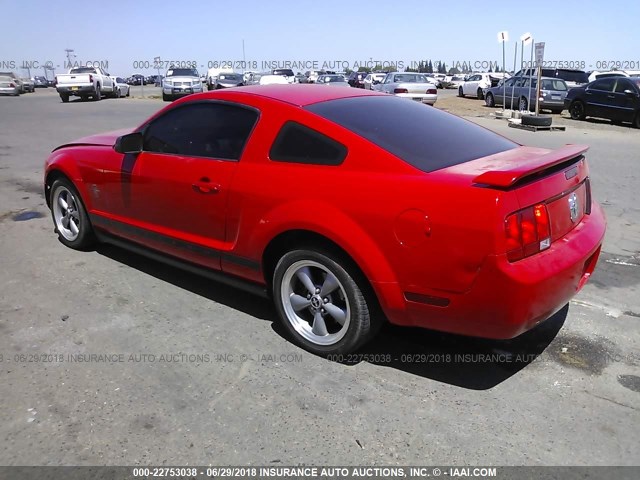 1ZVHT80N565103041 - 2006 FORD MUSTANG RED photo 3