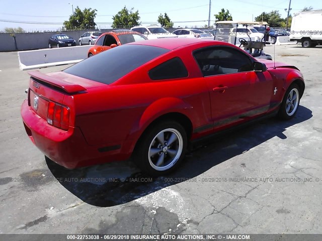 1ZVHT80N565103041 - 2006 FORD MUSTANG RED photo 4
