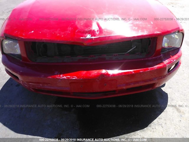 1ZVHT80N565103041 - 2006 FORD MUSTANG RED photo 6