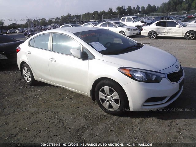 KNAFK4A60E5067705 - 2014 KIA FORTE LX WHITE photo 1