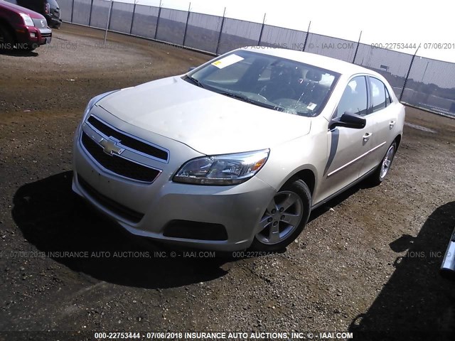 1G11B5SA1DF249324 - 2013 CHEVROLET MALIBU LS GOLD photo 2