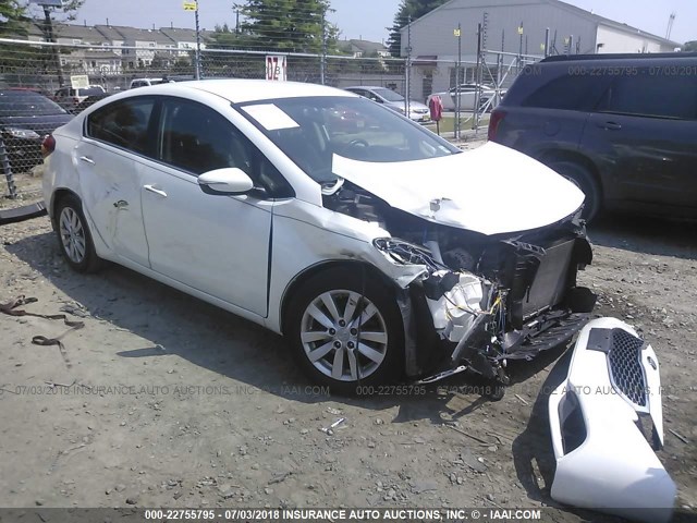 KNAFX4A87E5110147 - 2014 KIA FORTE EX WHITE photo 1