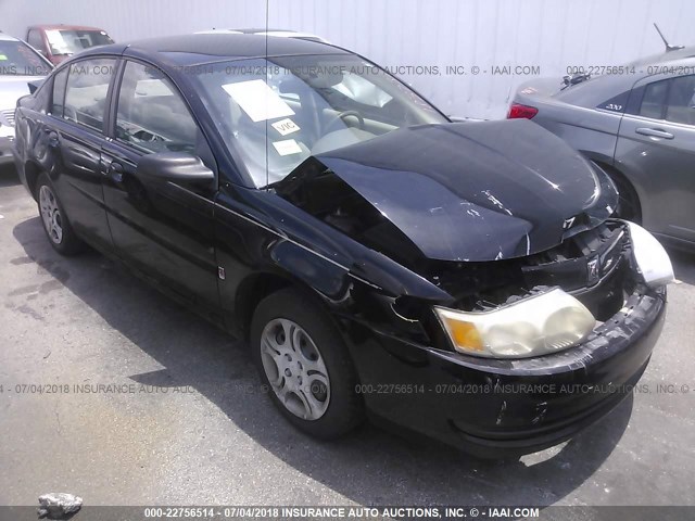 1G8AJ52F44Z183737 - 2004 SATURN ION LEVEL 2 Qara foto 1