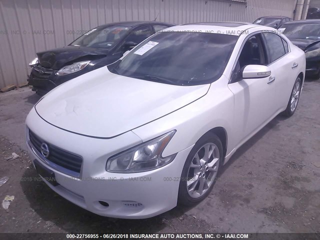 1N4AA5APXCC805748 - 2012 NISSAN MAXIMA S/SV WHITE photo 2