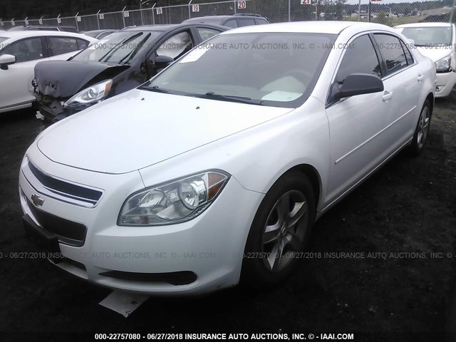 1G1ZB5E02CF149883 - 2012 CHEVROLET MALIBU LS WHITE photo 2