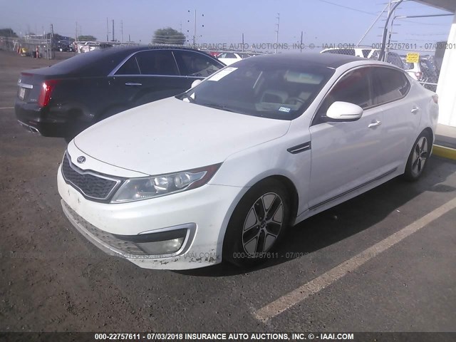 KNAGM4AD4C5020767 - 2012 KIA OPTIMA HYBRID WHITE photo 2