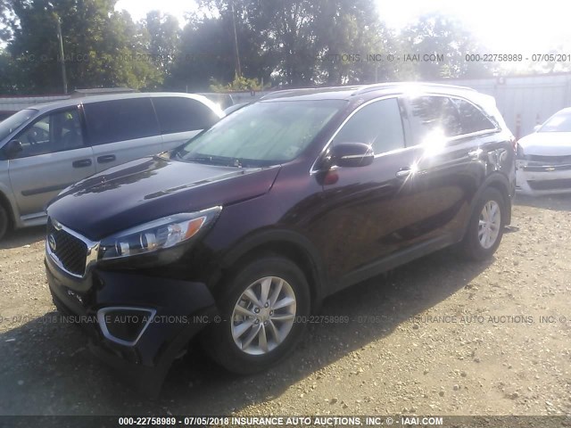 5XYPG4A3XHG223923 - 2017 KIA SORENTO LX/L MAROON photo 2