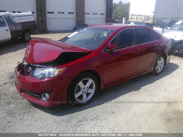 4T1BF1FK8EU775289 - 2014 TOYOTA CAMRY L/SE/LE/XLE RED photo 2