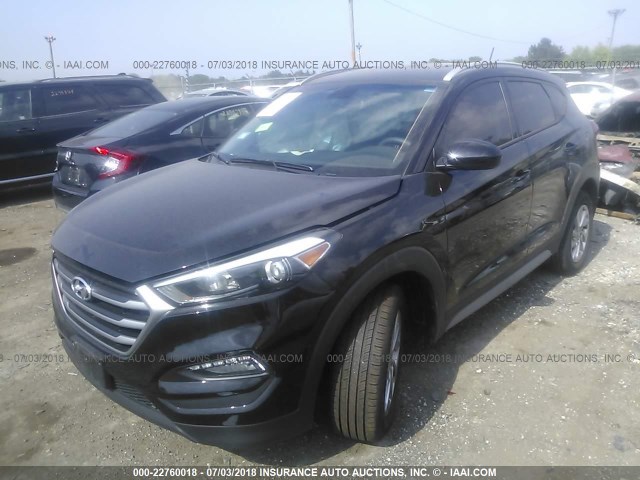 KM8J3CA43HU410886 - 2017 HYUNDAI TUCSON LIMITED/SPORT AND ECO/SE BLACK photo 2