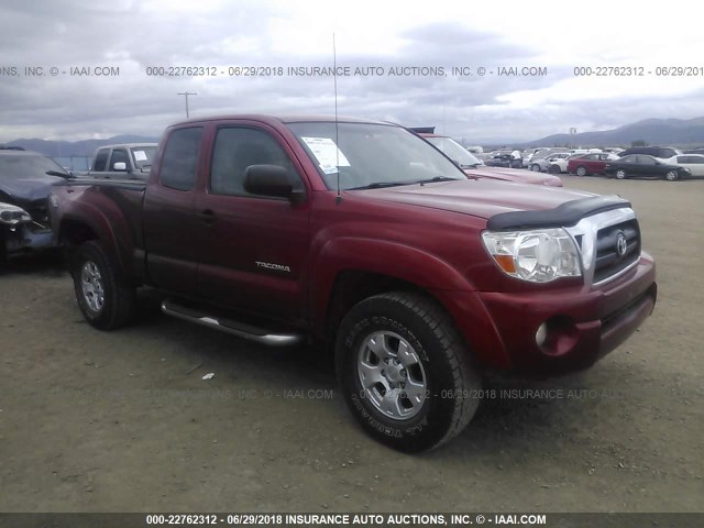 5TEUU42N97Z377748 - 2007 TOYOTA TACOMA ACCESS CAB Марун фото 1