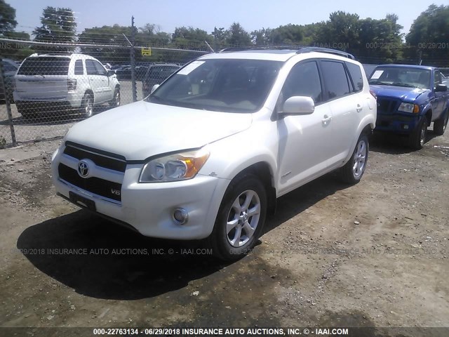 JTMBK31V295082473 - 2009 TOYOTA RAV4 LIMITED WHITE photo 2