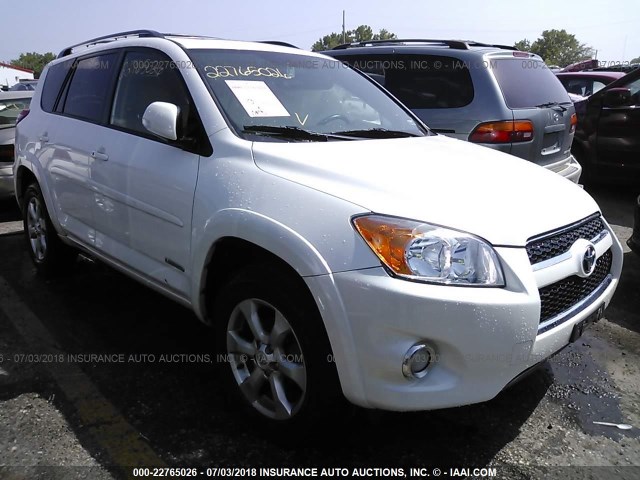 2T3YF4DV2AW034016 - 2010 TOYOTA RAV4 LIMITED WHITE photo 1