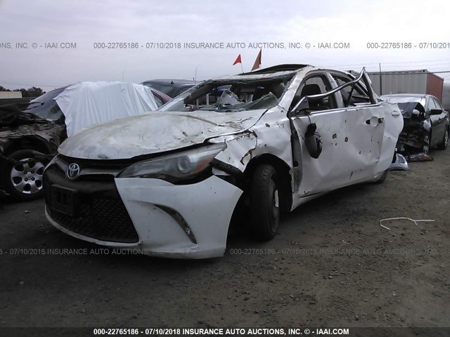 4T1BF1FK8HU301234 - 2017 TOYOTA CAMRY LE/XLE/SE/XSE WHITE photo 2