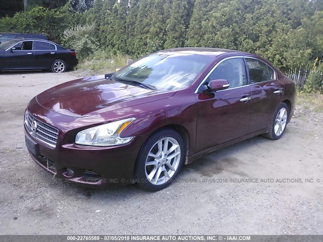 1N4AA5AP4AC869653 - 2010 NISSAN MAXIMA S/SV MAROON photo 2