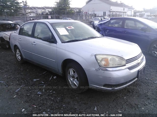 1G1ZT52875F308391 - 2005 CHEVROLET MALIBU LS Күміс фото 1