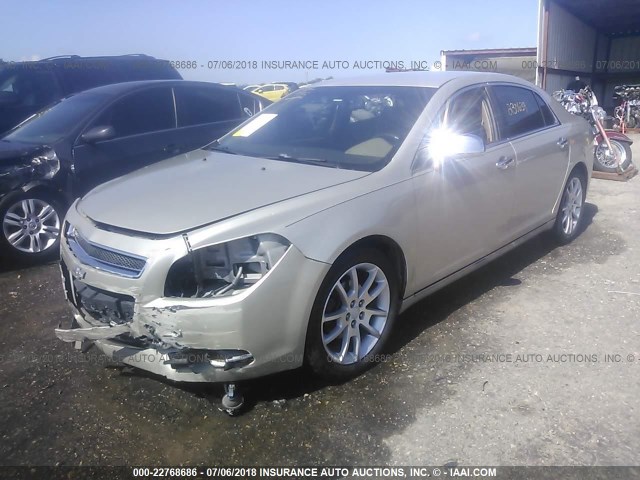 1G1ZK57BX9F176238 - 2009 CHEVROLET MALIBU LTZ 金色 照片 2