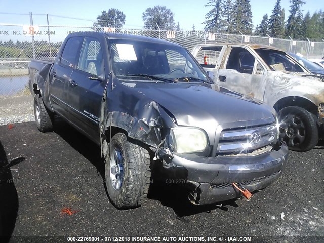 5TBDT44126S521917 - 2006 TOYOTA TUNDRA DOUBLE CAB SR5 GOLD photo 1