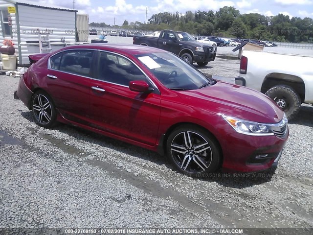 1HGCR2F63GA203979 - 2016 HONDA ACCORD SPORT RED photo 1