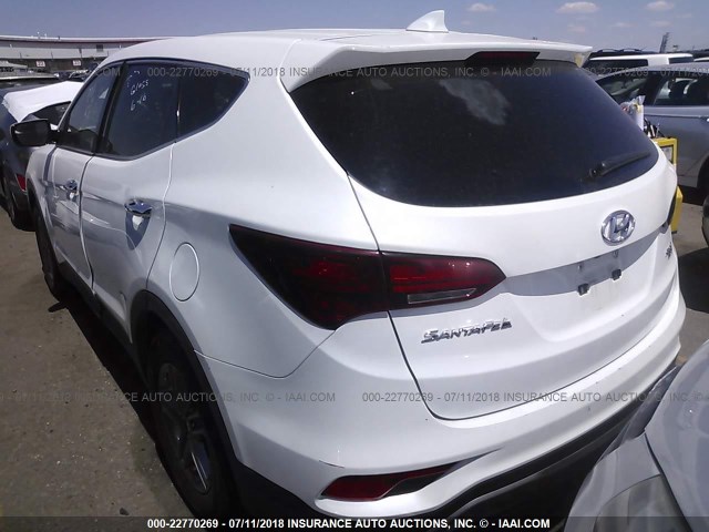 5NMZTDLB0HH023681 - 2017 HYUNDAI SANTA FE SPORT  WHITE photo 3