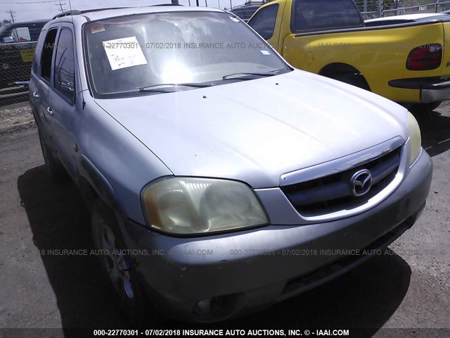 4F2YU08182KM63824 - 2002 MAZDA TRIBUTE LX/ES GRAY photo 6