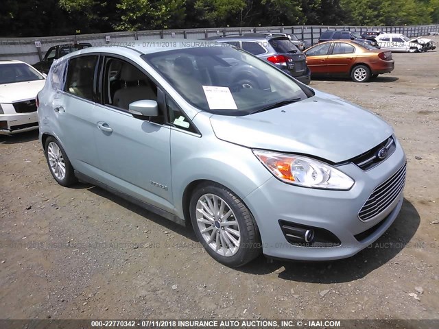 1FADP5BU4EL501060 - 2014 FORD C-MAX SEL GREEN photo 1