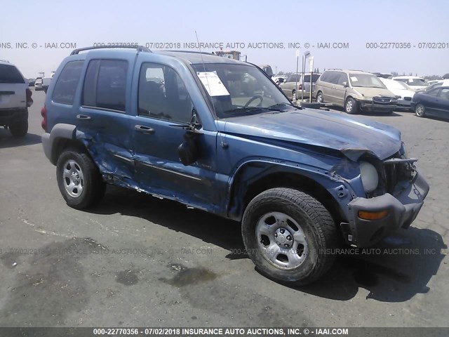 1J4FK48163W707253 - 2003 JEEP LIBERTY SPORT/FREEDOM ლურჯი ფოტო 1