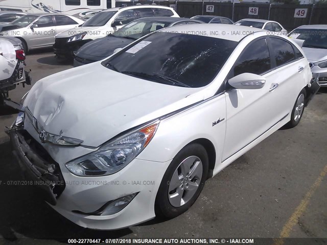 KMHEC4A44CA062940 - 2012 HYUNDAI SONATA HYBRID WHITE photo 2