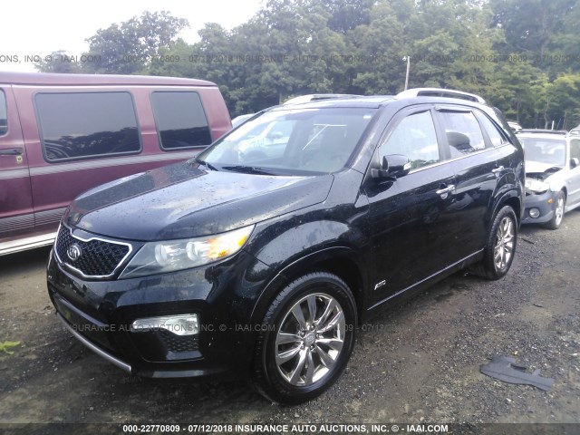 5XYKWDA29BG136574 - 2011 KIA SORENTO SX BLACK photo 2