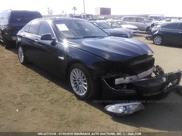 WBAXG5C50DD234021 - 2013 BMW 528 I BLACK photo 1