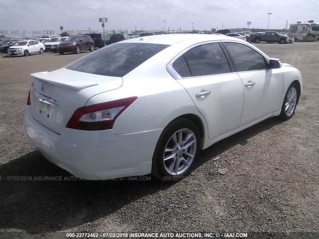 1N4AA5AP3AC818046 - 2010 NISSAN MAXIMA S/SV WHITE photo 4