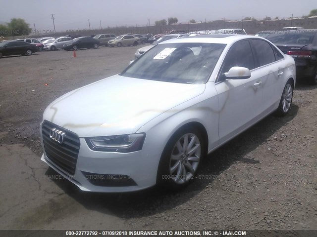 WAUFFAFL0DN011926 - 2013 AUDI A4 PREMIUM PLUS WHITE photo 2