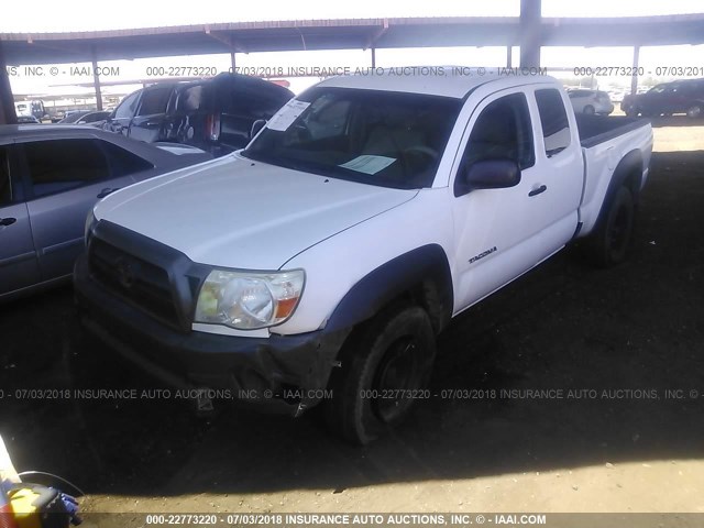 5TEUX42N58Z557821 - 2008 TOYOTA TACOMA ACCESS CAB WHITE photo 2