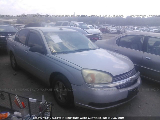 1G1ZT54855F312310 - 2005 CHEVROLET MALIBU LS GRAY photo 1