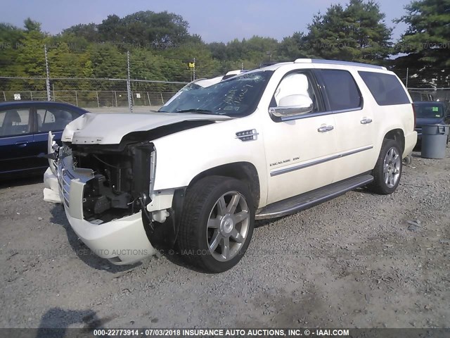 1GYUKHEF4AR181506 - 2010 CADILLAC ESCALADE ESV LUXURY WHITE photo 2