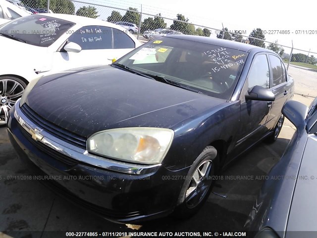 1G1ZT54815F159666 - 2005 CHEVROLET MALIBU LS Көк фото 2