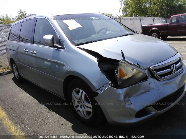 5FNRL38735B089914 - 2005 HONDA ODYSSEY EXL 蓝色 照片 1