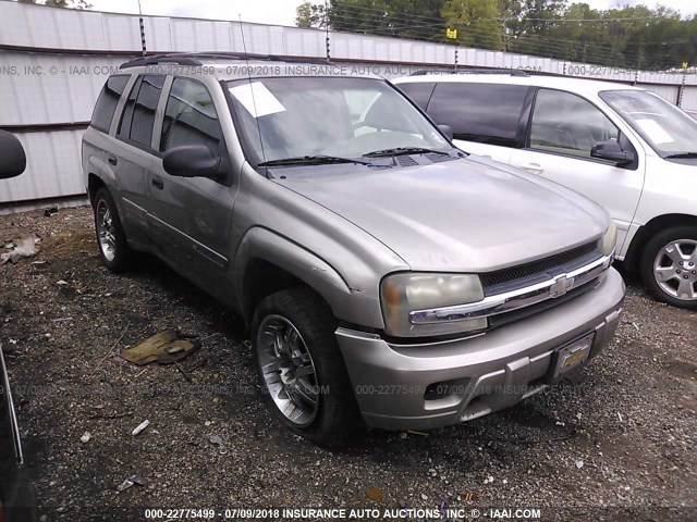 1GNDS13S622434288 - 2002 CHEVROLET TRAILBLAZER  Pewter photo 1