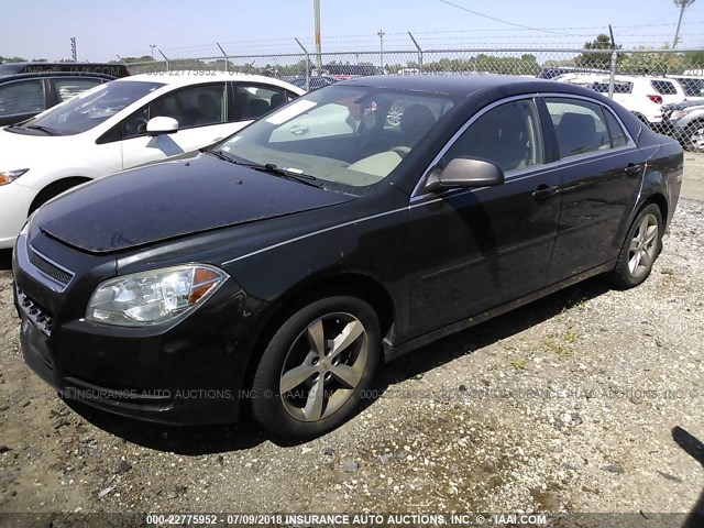 1G1ZB5EB1AF233496 - 2010 CHEVROLET MALIBU LS 黑色 照片 2