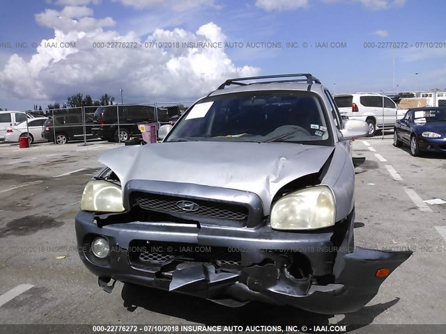 KM8SC13D03U346921 - 2003 HYUNDAI SANTA FE GLS/LX TAN photo 6