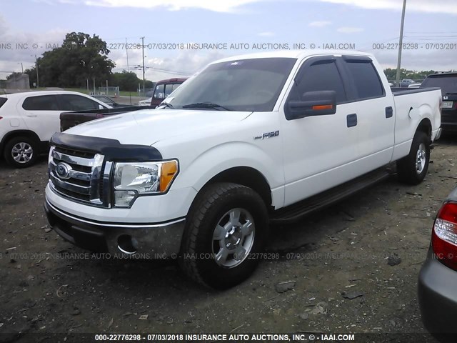 1FTFW1EV3AKE72380 - 2010 FORD F150 SUPERCREW WHITE photo 2