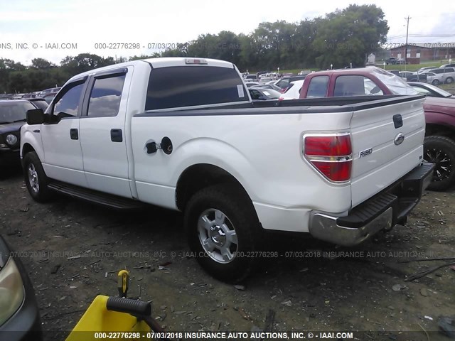 1FTFW1EV3AKE72380 - 2010 FORD F150 SUPERCREW WHITE photo 3